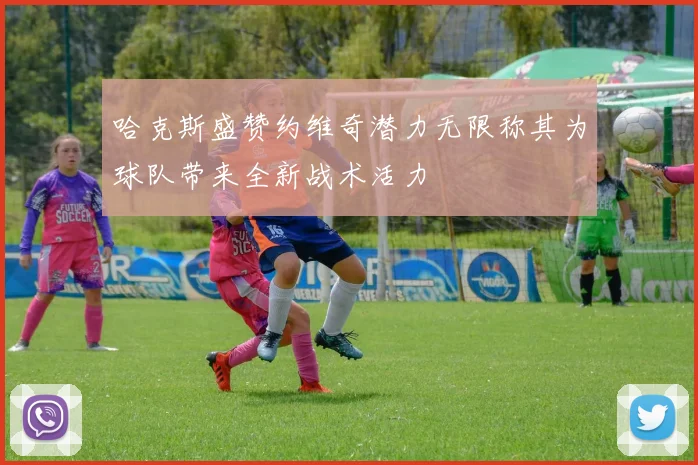 哈克斯盛赞约维奇潜力无限称其为球队带来全新战术活力