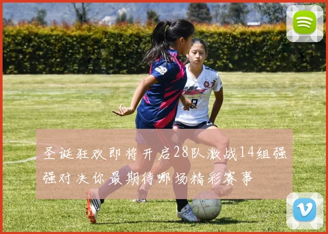 圣诞狂欢即将开启28队激战14组强强对决你最期待哪场精彩赛事
